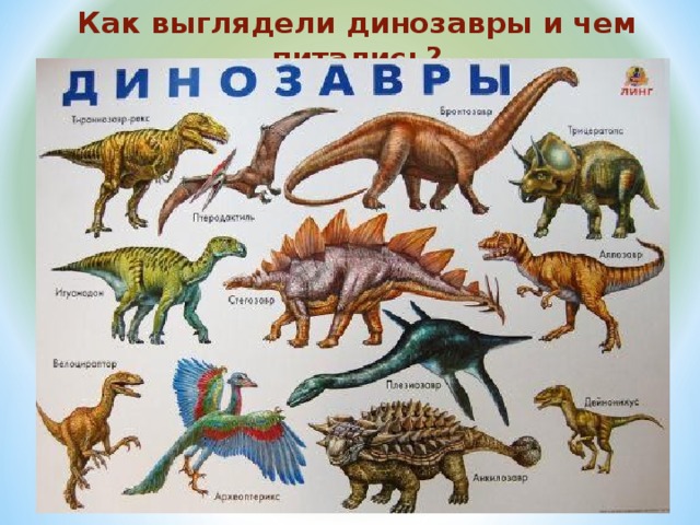 Динозавры Картинки И Названия