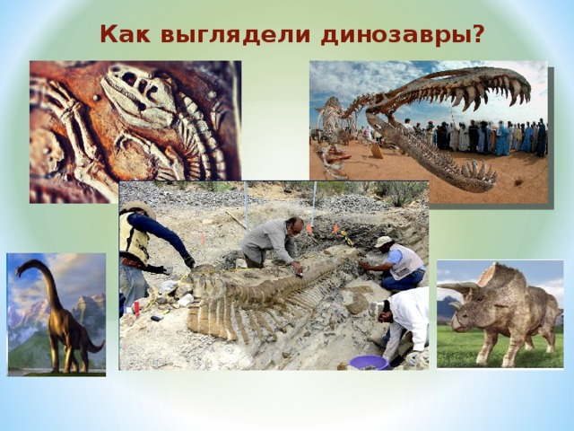 Как люди узнали как выглядят динозавры Исследовательский проект "Все ли вымерли динозавры?