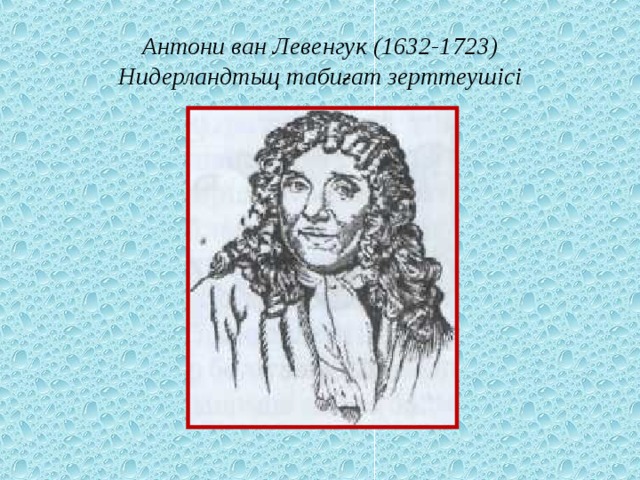 Антони ван  Левенгук (1632-1723)  Нидерландтьщ табиғат зерттеушісі 