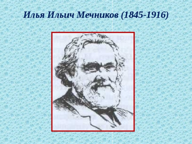 Илья Ильич Мечников (1845-1916)   