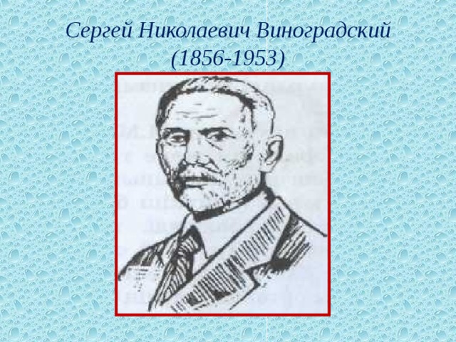  Сергей Николаевич Виноградский  (1856-1953)   