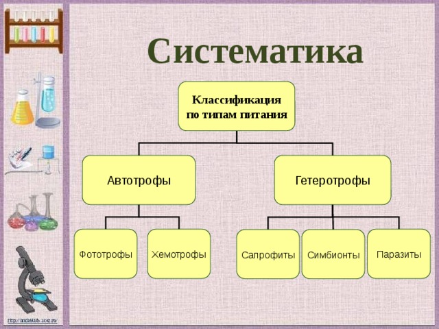 Классификация питания