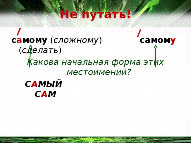Не путать! с а мому ( сложному ) самом у ( сделать ) Какова начальная форма этих местоимений?  С А МЫЙ  С А М  