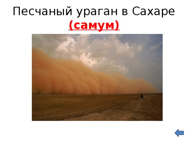 Самум ветер