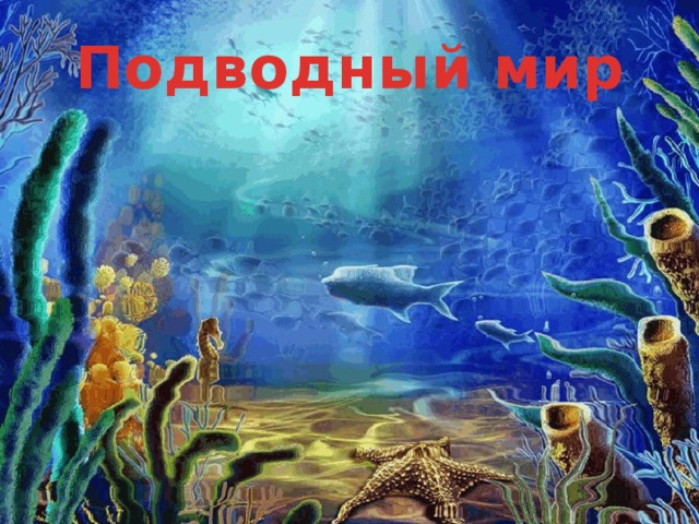 Подводный мир 