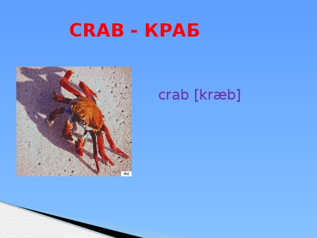  CRAB - КРАБ crab [kræb] 
