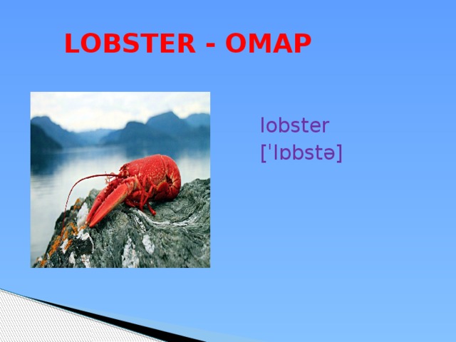  LOBSTER - ОМАР lobster [ˈlɒbstə] 