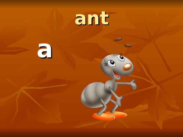 ant  a 