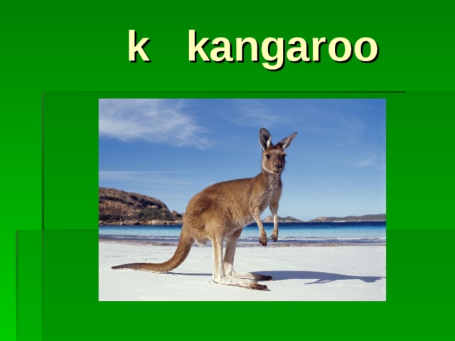 k kangaroo 