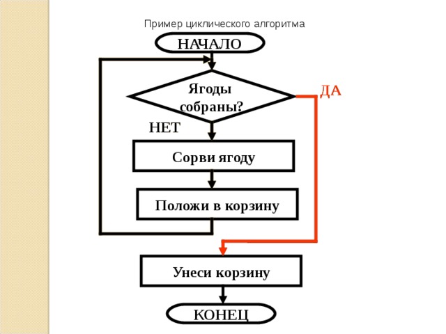 Пример циклического алгоритма НАЧАЛО Ягоды собраны? ДА ДА НЕТ НЕТ НЕТ Сорви ягоду Положи в корзину Унеси корзину КОНЕЦ  