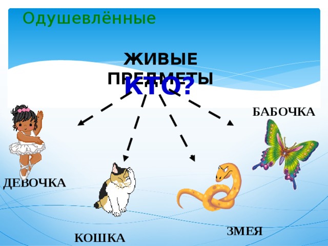 Одушевленные и неодушевленные карточка