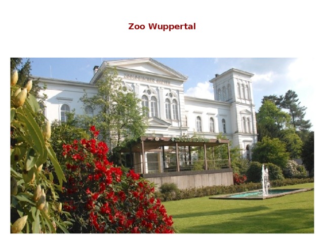  Zoo Wup­per­tal   