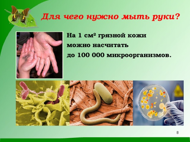 Для чего нужно мыть руки? На 1 см ² грязной кожи можно насчитать до 100 000 микроорганизмов.