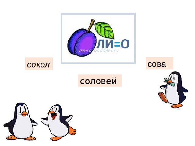 сова сокол соловей 