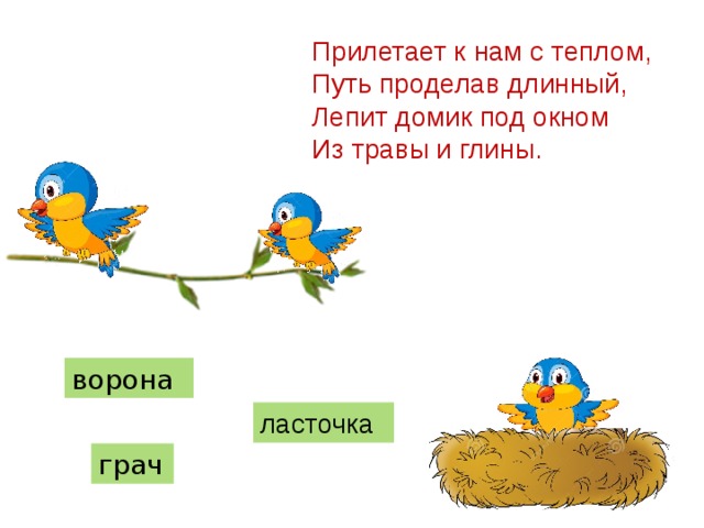 Прилетает к нам с теплом,  Путь проделав длинный,  Лепит домик под окном  Из травы и глины. ворона ласточка грач 