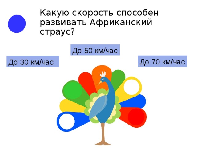 Какую скорость способен развивать Африканский страус? До 50 км/час До 70 км/час До 30 км/час 