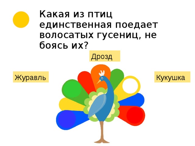 Какая из птиц единственная поедает волосатых гусениц, не боясь их? Дрозд Журавль  Кукушка 