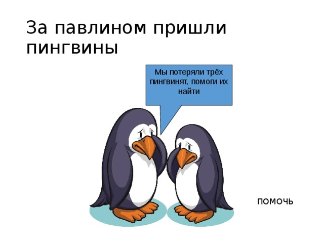 За павлином пришли пингвины Мы потеряли трёх пингвинят, помоги их найти ПОМОЧЬ 