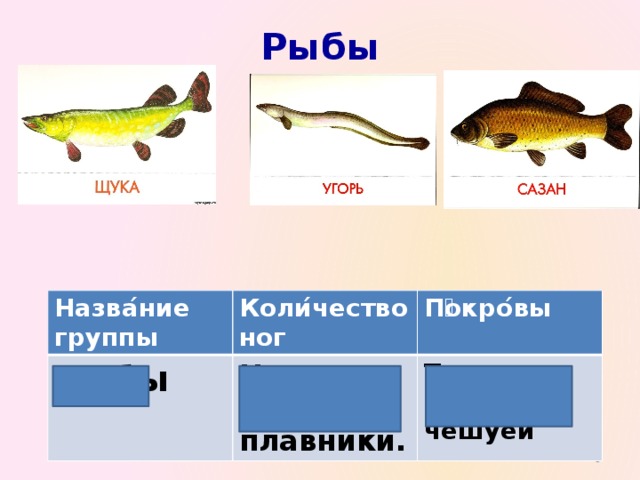 Рыбы Назва ́ ние группы Рыбы Коли ́ чество ног П ͞ окро ́ вы Ног нет. Есть плавники. Тело покрыто чешуёй  