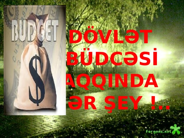 DÖVLƏT BÜDCƏSİ HAQQINDA HƏR ŞEY !.. 