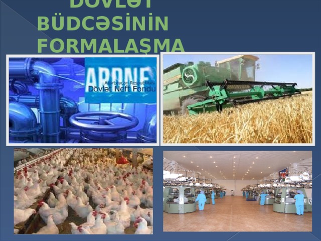  DÖVLƏT BÜDCƏSİNİN FORMALAŞMA MƏNBƏLƏRİ 