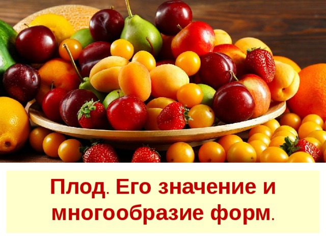 Плод . Его значение и многообразие форм . 