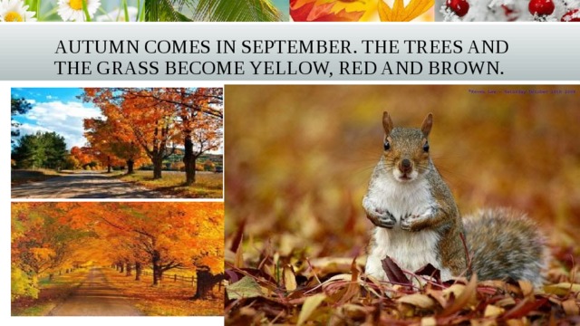 Autumn comes in September. The trees and the grass become yellow, red and brown. 