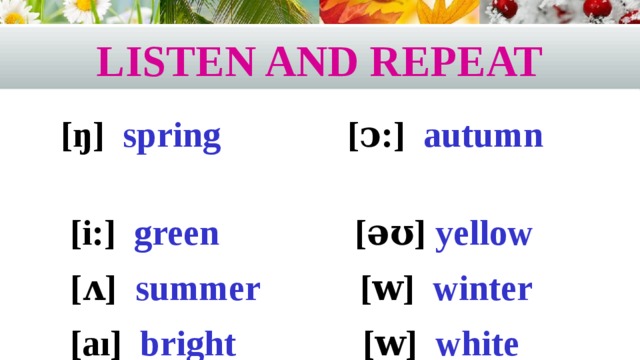 Listen and repeat [ŋ] spring [ↄ:] autumn  [i:] green [ǝʊ] yellow  [ʌ] summer [ᴡ] winter  [aı] bright [ᴡ] white 