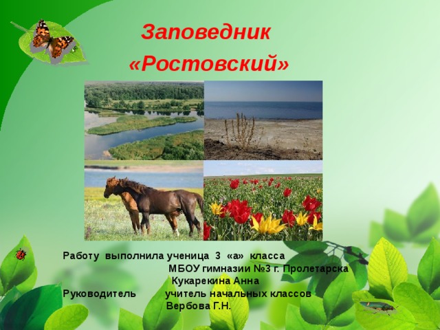 Заповедник «Ростовский»  Работу выполнила ученица 3 «а» класса  МБОУ гимназии №3 г. Пролетарска  Кукарекина Анна Руководитель учитель начальных классов  Вербова Г.Н.