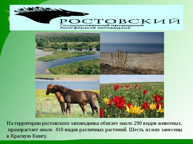 На территории ростовского заповедника обитает около 290 видов животных,  произрастает около 410 видов различных растений. Шесть из них занесены в Красную Книгу.