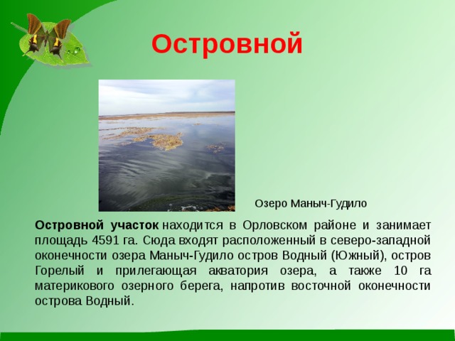 Островной Озеро Маныч-Гудило Островной участок  находится в Орловском районе и занимает площадь 4591 га. Сюда входят расположенный в северо-западной оконечности озера Маныч-Гудило остров Водный (Южный), остров Горелый и прилегающая акватория озера, а также 10 га материкового озерного берега, напротив восточной оконечности острова Водный.