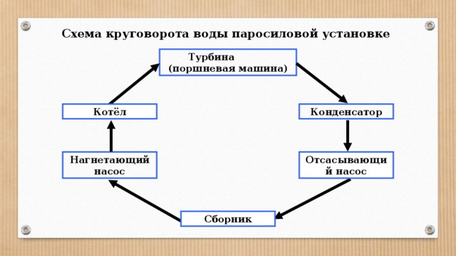 Нарисуй схему круговорота веществ в сообществе водоема