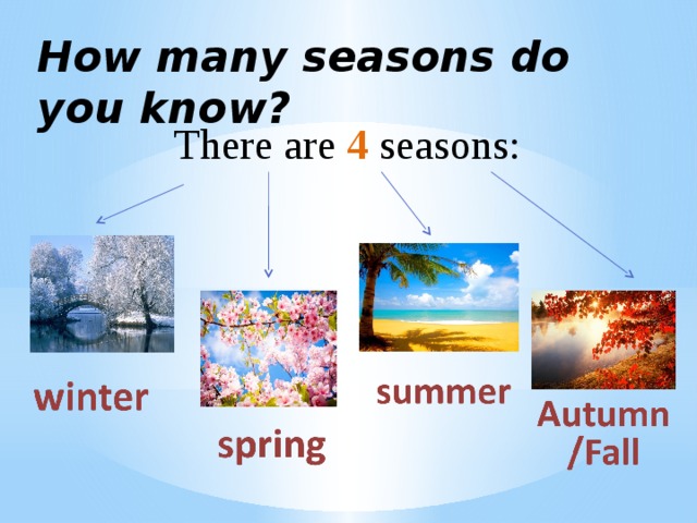 Seasons and months презентация 3 класс