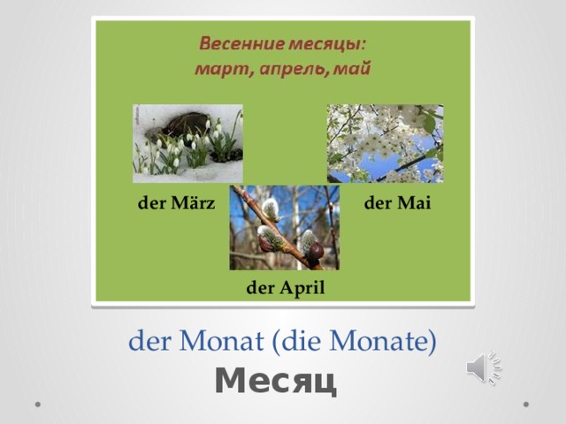 der M ärz  der Mai der April  der Monat (die Monate) Месяц 