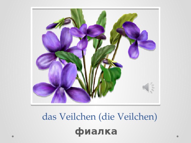  das Veilchen (die Veilchen) фиалка 
