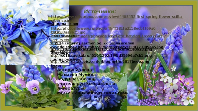Источники: https://www.colourbox.com/preview/4408452-first-spring-flower-scilla-siberica.jpg -сцилла синяя   http://photosflowery.ru/photo/4f/4f381fa2158ecb1f69a06e5663aa9e25.jpg – сцилла синяя   http:// mfox.com.ua/images/phocagallery/Foto_katalog_1/cvety_art/art_cvety __ 2124_izmenitj_razmer.jpg  - сцилла уголок  http:// www.delenka-club.ru/share/images/ready/33/877_805445.jpg  - фон слайдов http:// s017.radikal.ru/i416/1202/7a/bc8f0c1e0628.png  - надпись http:// s018.radikal.ru/i510/1202/14/1d35696a7cb1.png  - сцилла розовая http:// zezete2.z.e.pic.centerblog.net/o/2817bedb.png  -букет Автор шаблона Мамаева Муминат Абдулвагабовна, учитель русского языка и литературы МБОУ «Уллубийаульская СОШ» 