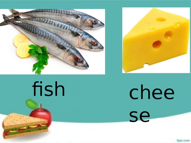 fish cheese 