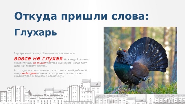 Слова из слова глухарь. Глухарь звук. Текст про глухаря. О слове Глухарь. Несколько слов о слове Глухарь.