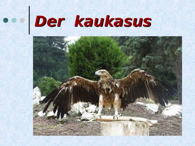 Der kaukasus 