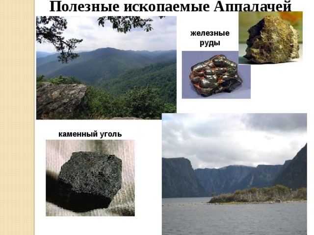 Полезные ископаемые Аппалачей железные руды каменный уголь 