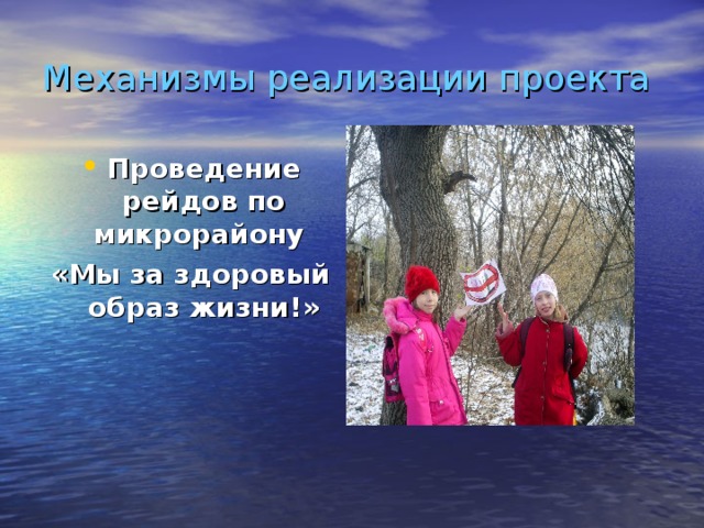 Механизмы реализации проекта Проведение рейдов по микрорайону «Мы за здоровый образ жизни!» 