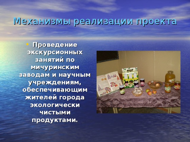 Механизмы реализации проекта Проведение экскурсионных занятий по мичуринским заводам и научным учреждениям, обеспечивающим жителей города экологически чистыми продуктами.  
