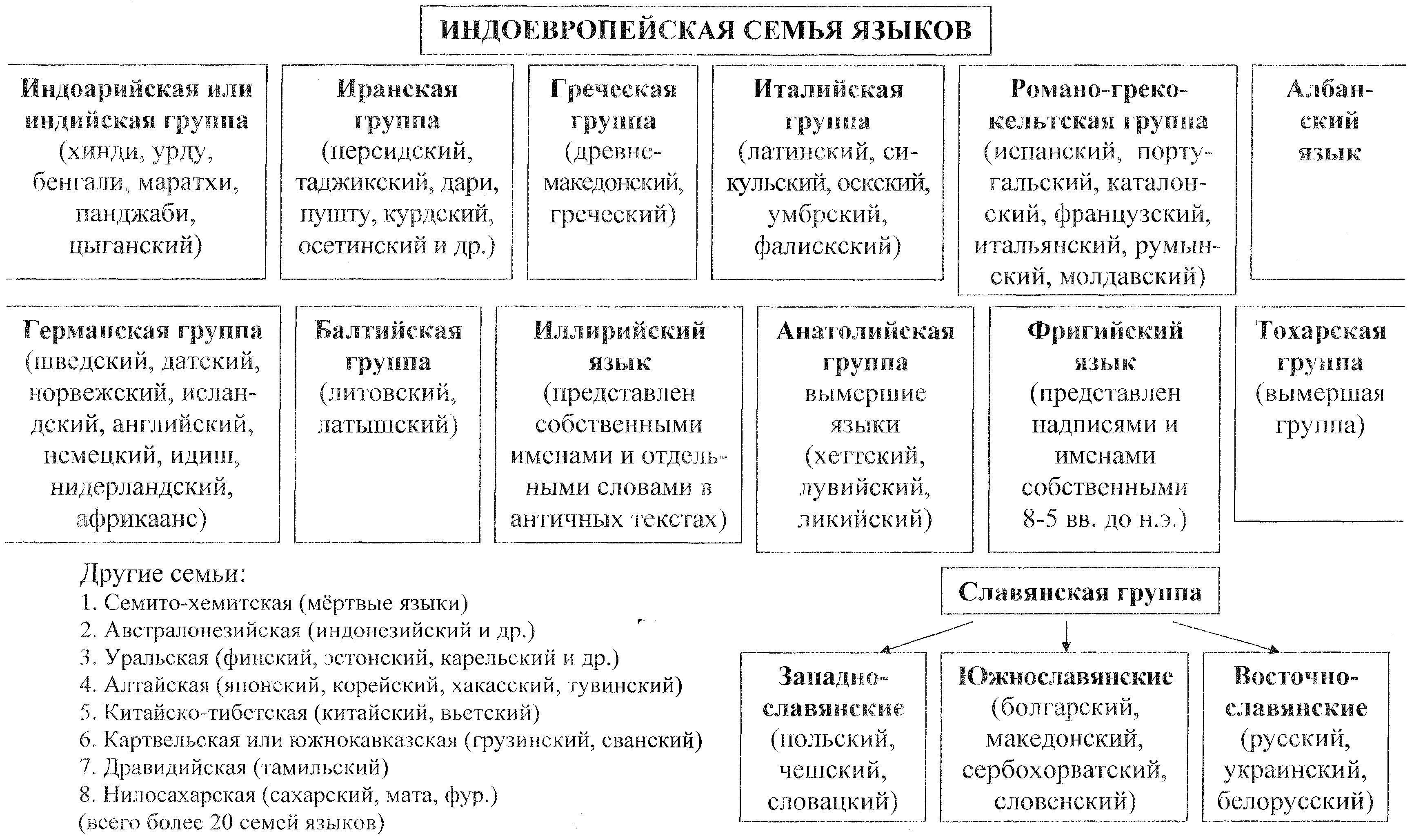 К языковым семьям относятся. Индоевропейская языковая семья. Языки индоевропейской семьи. Индоевропейская языковая семья таблица. Индоевропейская языковая семья схема.