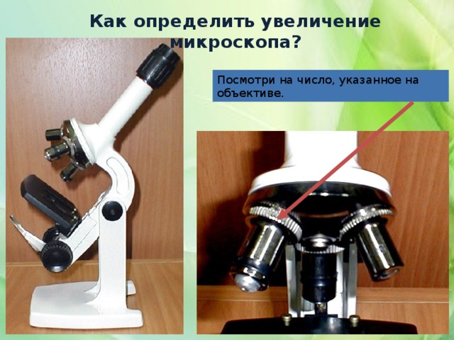 Как определить увеличение микроскопа? Посмотри на число, указанное на объективе. 