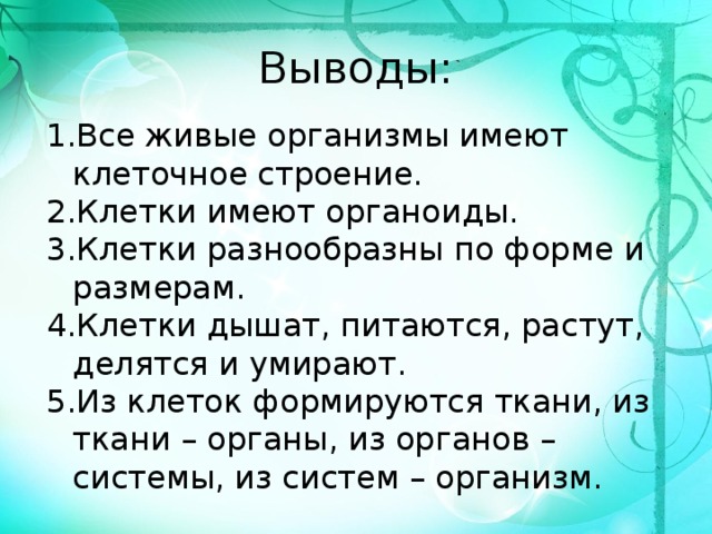 Строение клетки вывод