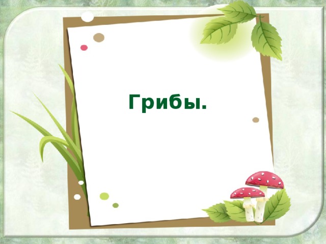Грибы.