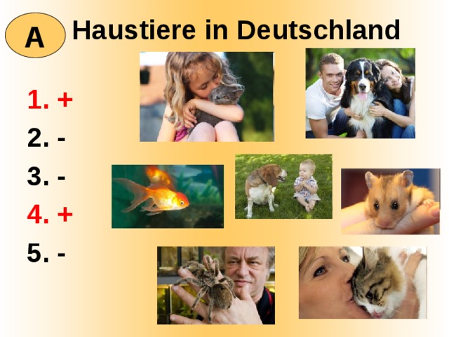  Haustiere in Deutschland A + - - + - 