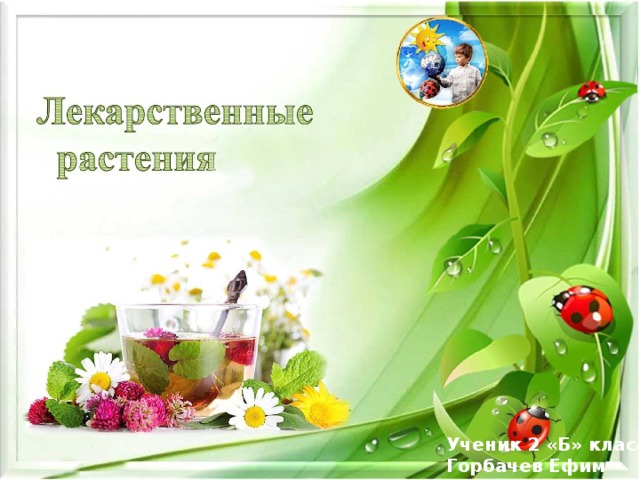 Ученик 2 «Б» класса Горбачев Ефим 