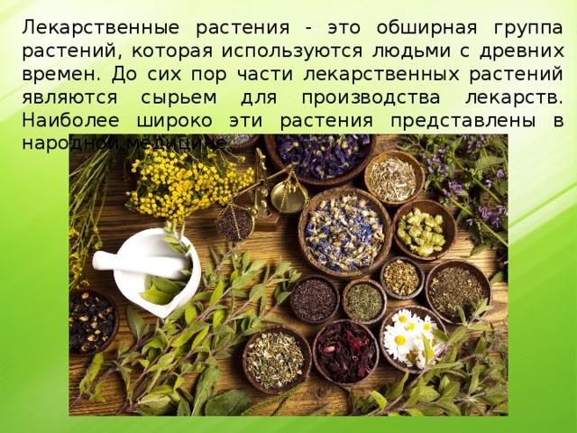 Лекарственные растения - это обширная группа растений, которая используются людьми с древних времен. До сих пор части лекарственных растений являются сырьем для производства лекарств. Наиболее широко эти растения представлены в народной медицине. 