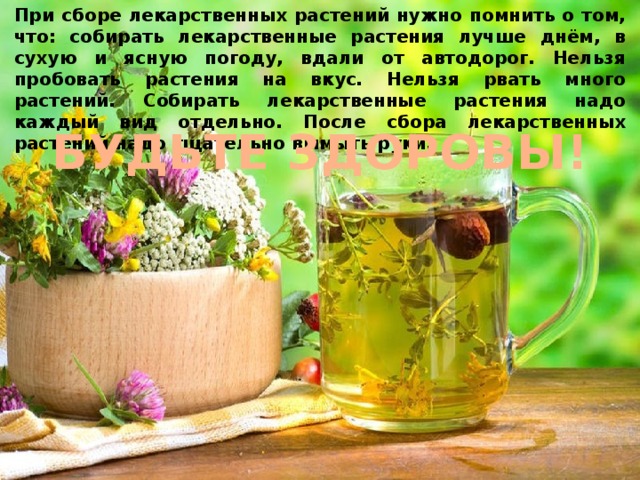 При сборе лекарственных растений нужно помнить о том, что: собирать лекарственные растения лучше днём, в сухую и ясную погоду, вдали от автодорог. Нельзя пробовать растения на вкус. Нельзя рвать много растений. Собирать лекарственные растения надо каждый вид отдельно. После сбора лекарственных растений надо тщательно вымыть руки. БУДЬТЕ ЗДОРОВЫ! 